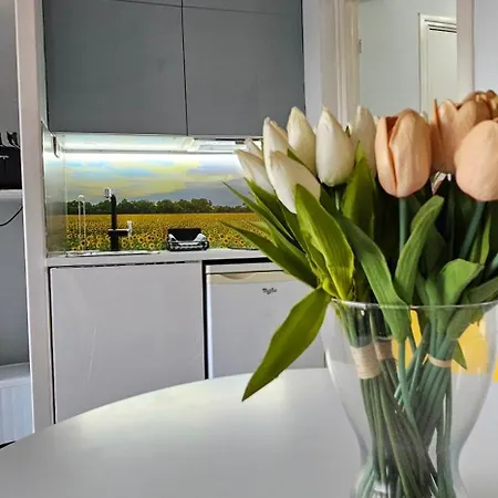 Affitto-nizza Apartman Nizza
